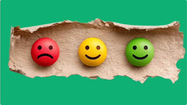 Survey Response Rate 