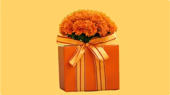 thanksgiving-gifts-for-business-family