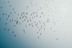 The Slow Lane and the Audacity of Empowerment.