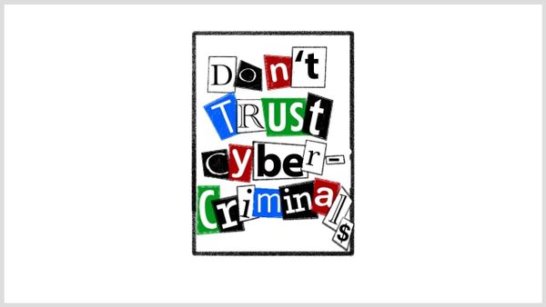 Trusting criminals and baby monitors