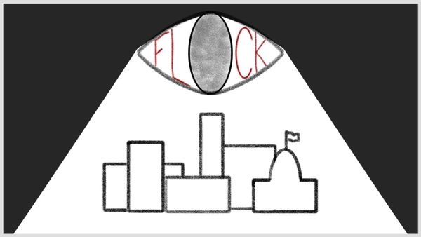 Flock of cameras and the costs of sharing data