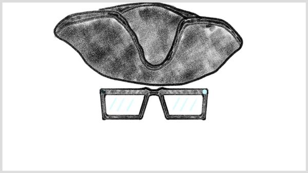 Meta's Glasses and Chatbots