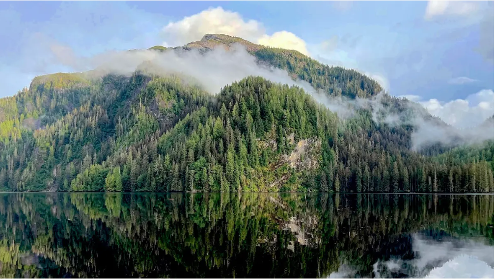 Tongass National Forest in Alaska. Yes, the Trump administration wants to wreck this, too. See Ted Williams below in Ecopinion.
