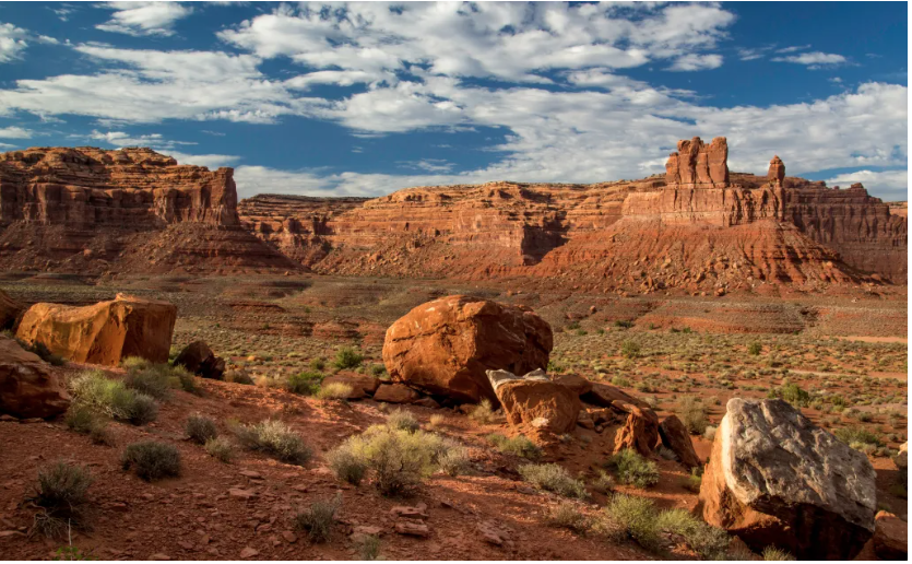 beautiful scene of arid desert landscape with mesas and sagebrush