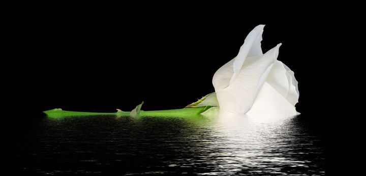 Book Cover for Between Mirrors by Francis Rosenfeld