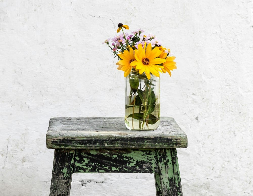 How to Proceed after the User Flag: My Beginner’s Priv Esc Flow