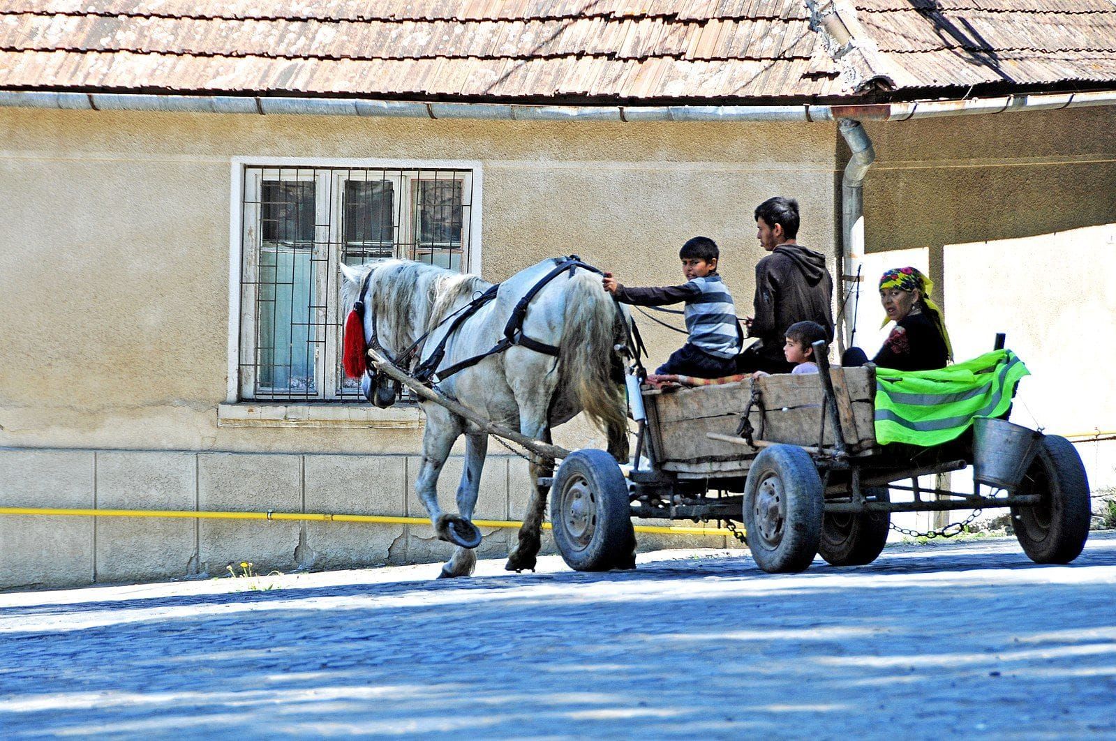 Minority Report: Roma and Eastern Europe