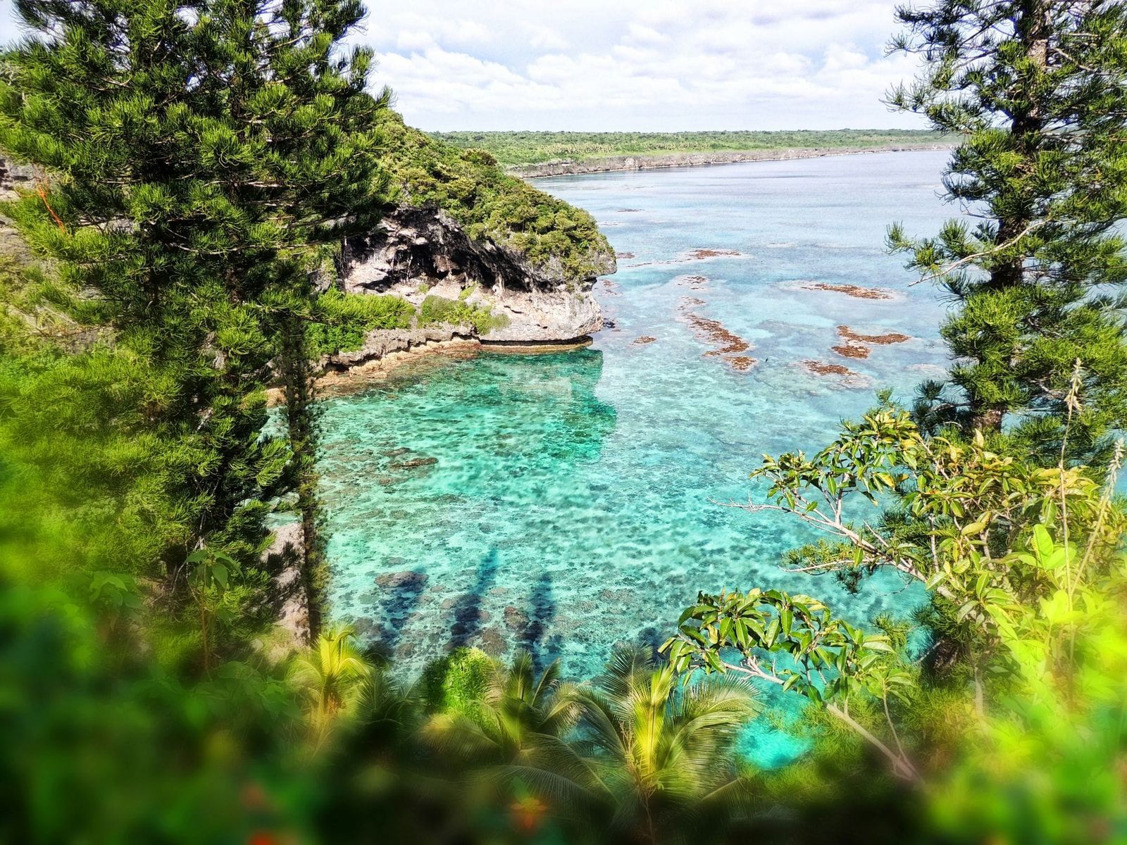 Nickel and Dimed: The Green Metal Gamble in New Caledonia