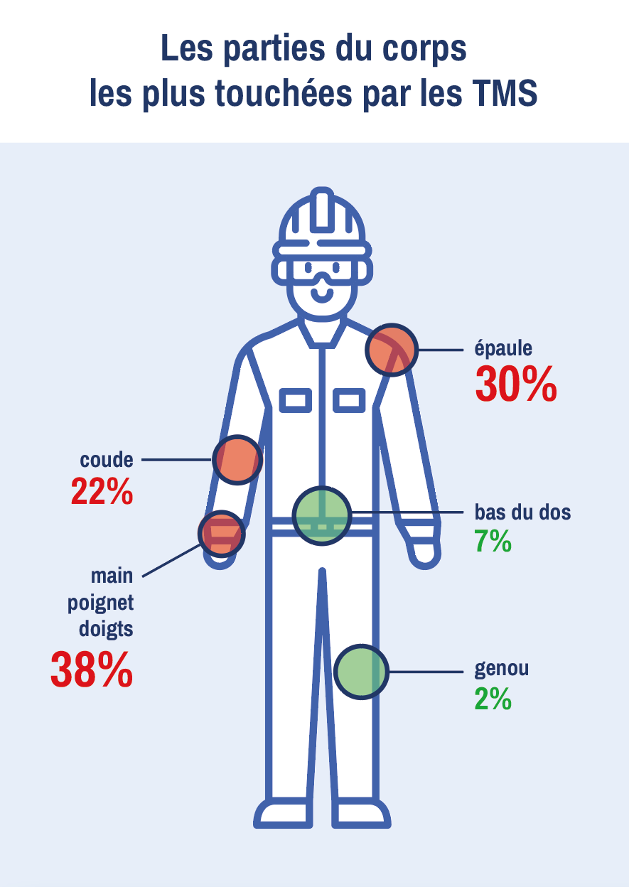 Schéma des parties du corps les plus touchés par les TMS