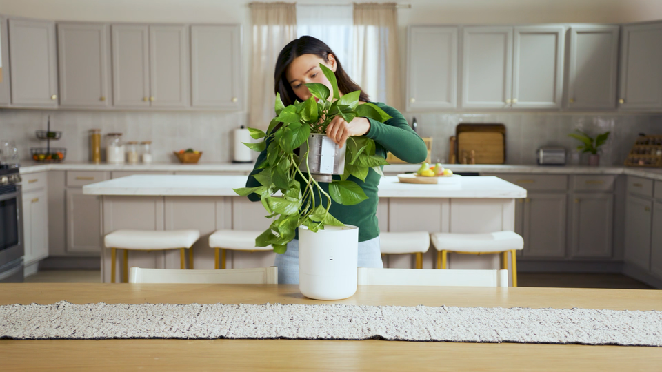 LeafyPod: The ultimate smart planter