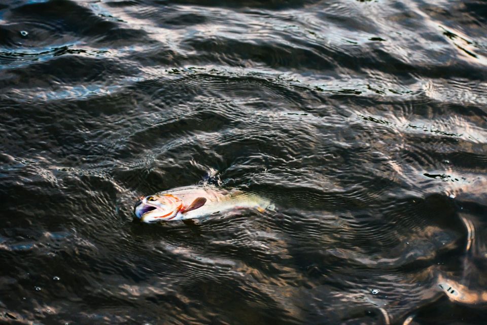 B2B vs. B2C Tech PR: Why Your PR Strategy Might Be Dead in the Water