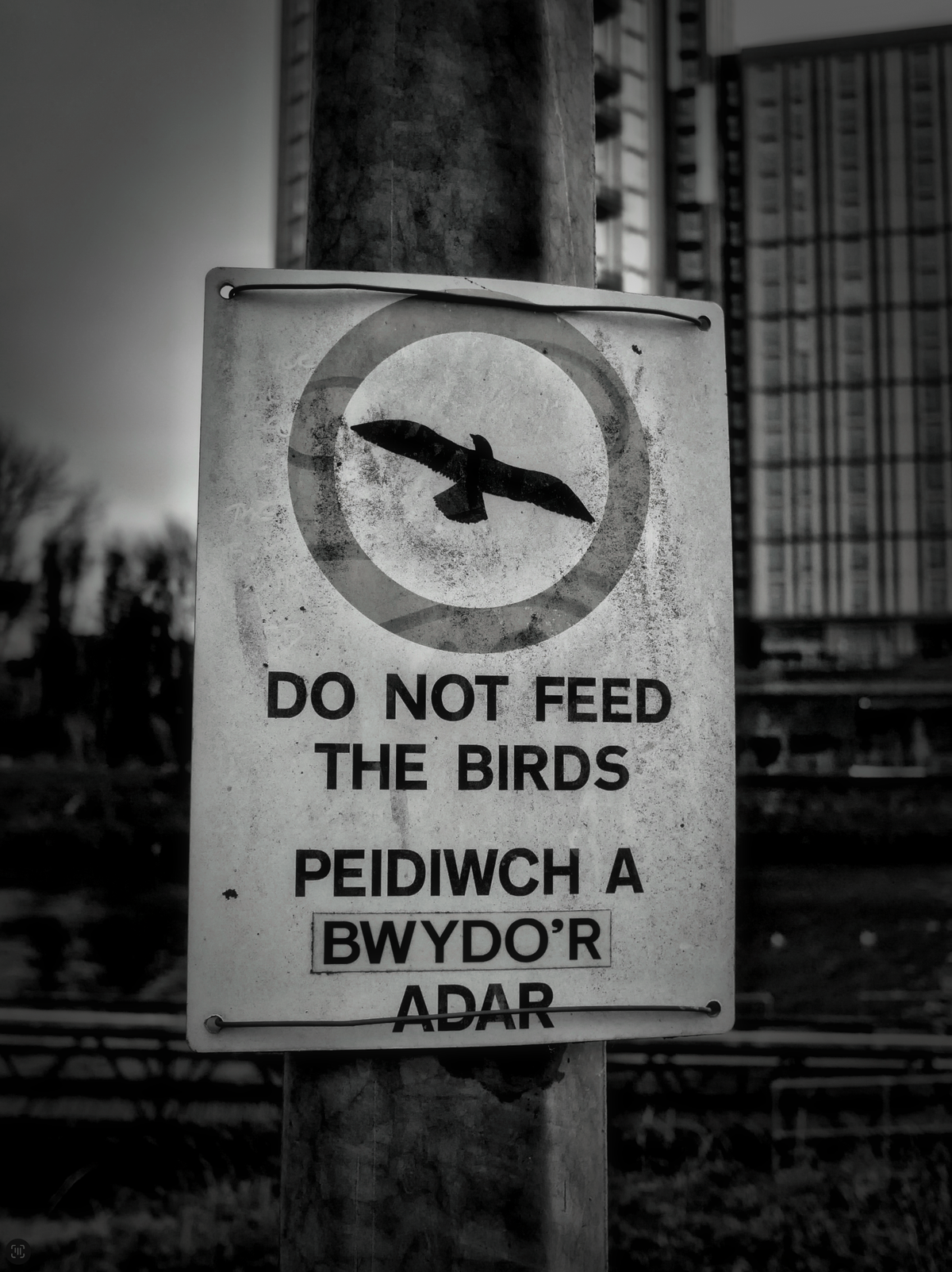 On Location for Alt.Cardiff2026