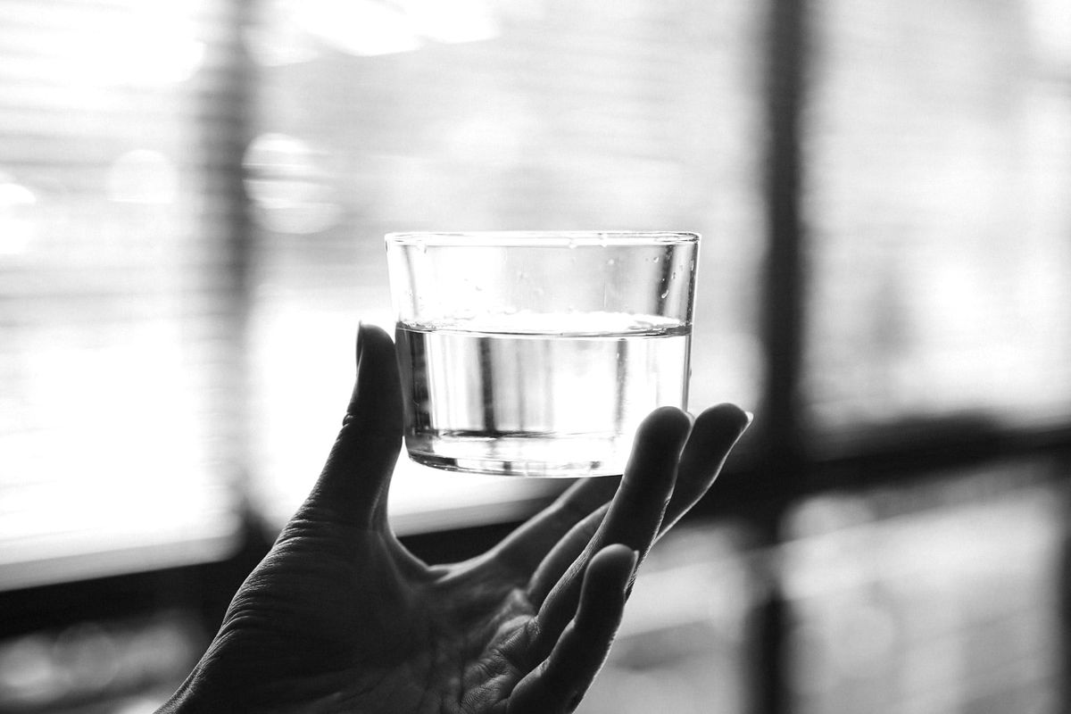 The Oligarchy of Light, Part II: Borrowed Democracy, Real Water, and Why We Left the Building
