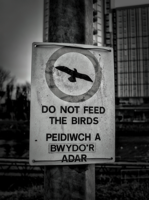 On Location for Alt.Cardiff2026