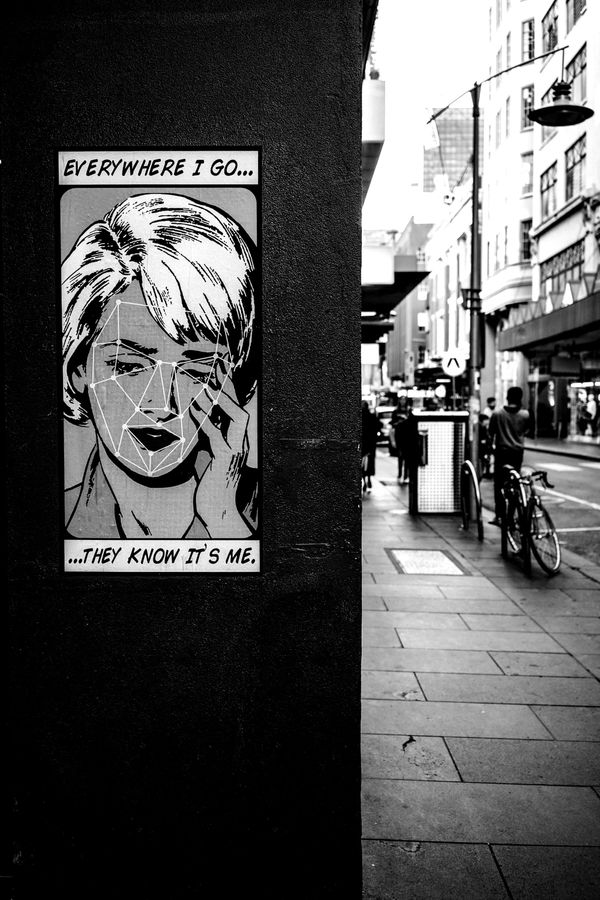 The Digital Footprint and the Algorithmic Gaze: Deepfakes, Age Verification, and the Future of Identity