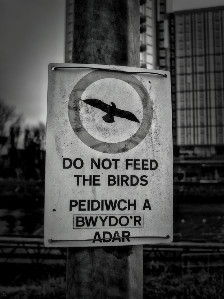 On Location for Alt.Cardiff2026