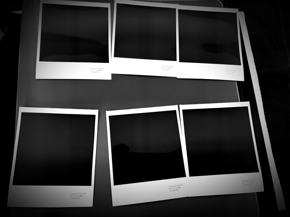 The Garden Behind the Glass: Why Art of FACELESS Built Its Own AI