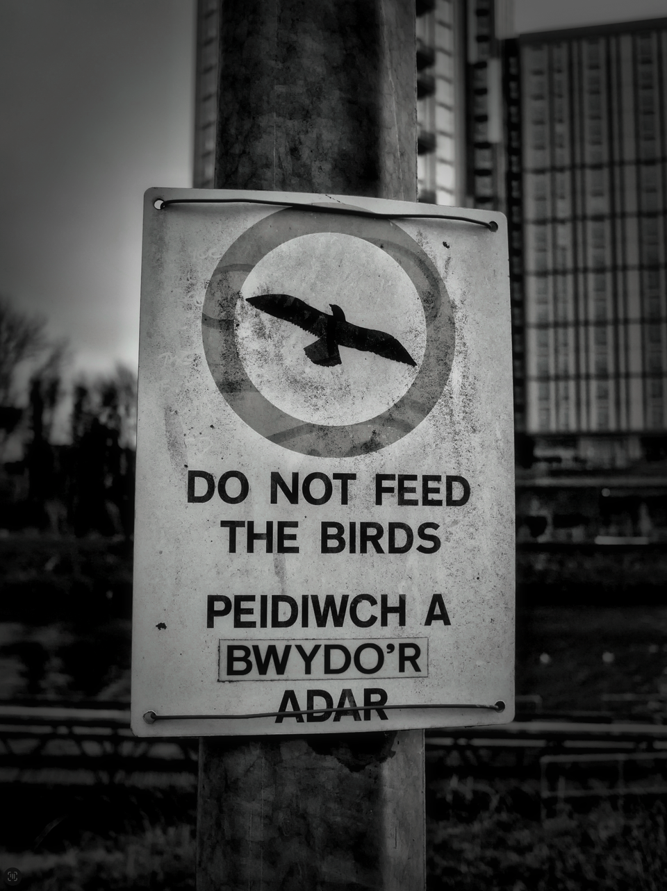 On Location for Alt.Cardiff2026