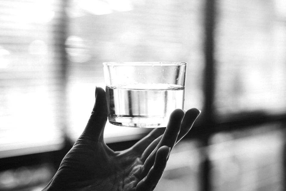 The Oligarchy of Light, Part II: Borrowed Democracy, Real Water, and Why We Left the Building