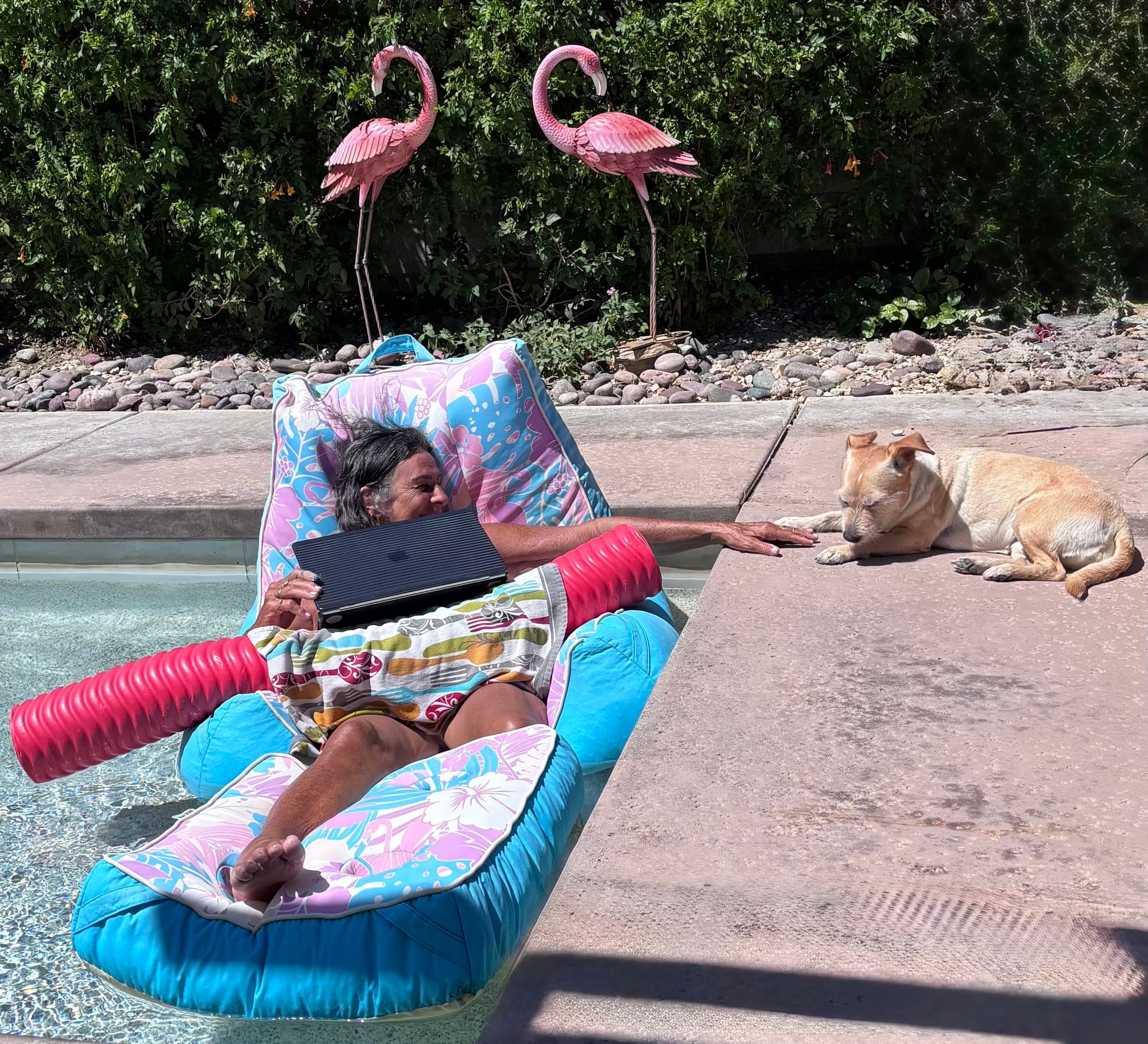 A woman on a floating lilo in the pool, working on a laptop and also saying hi to her dog.