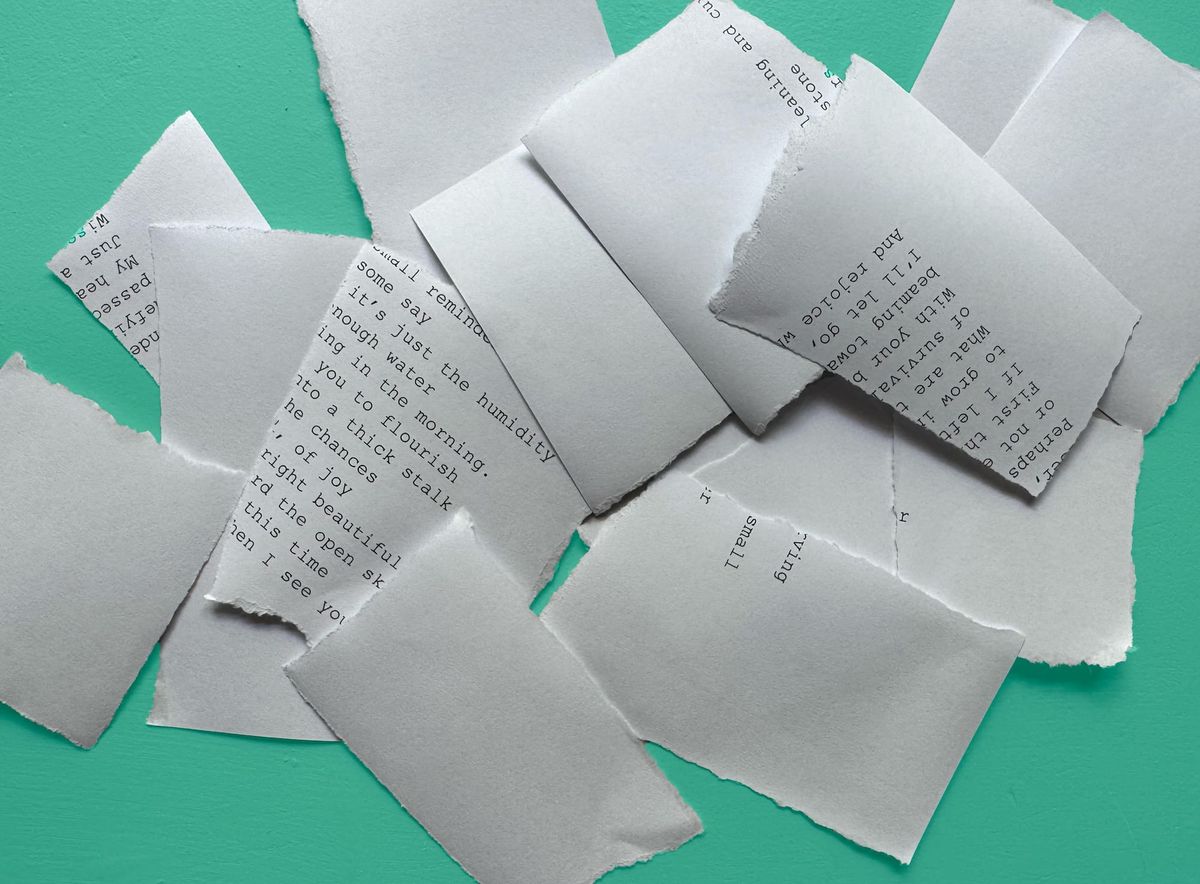 I've Been Thinking About Creativity All Wrong. Perhaps You Have Too.