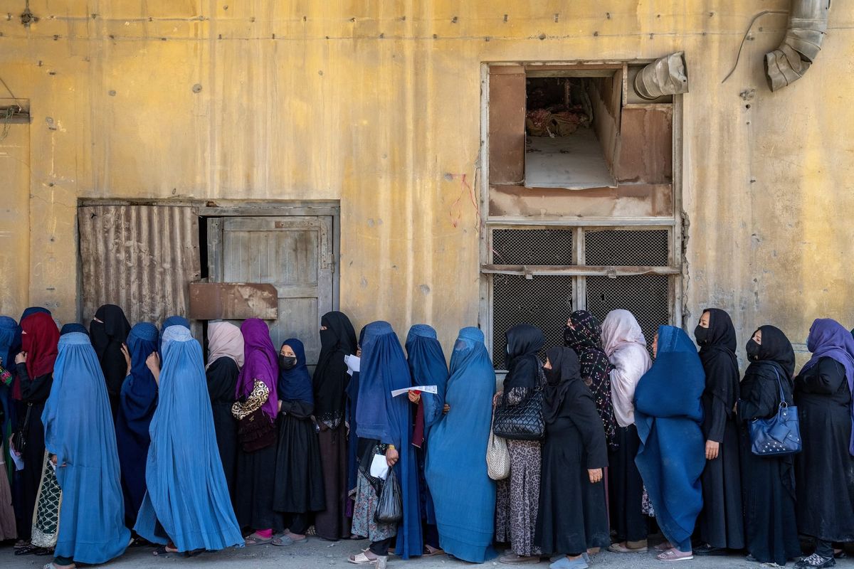In Afghanistan, Abusing Animals Now Carries a Stronger Penalty Than Abusing Women