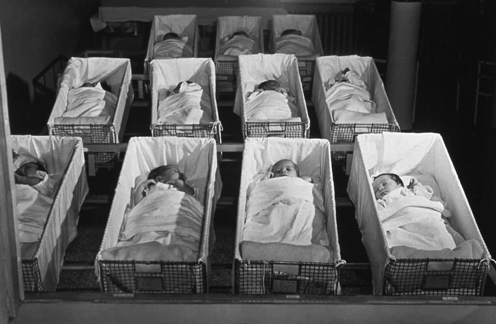 'It Is Time to Reflect On Whether Or Not to Have a Child'—Oh, Boy.