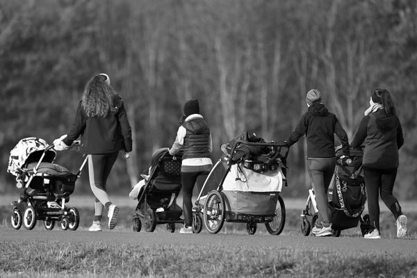 A photo of a group of moms viewed from behind pushing strollers in the park. 
