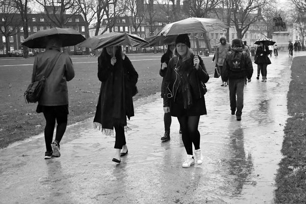 Commuters walk through the park on a rainy day. They are holding umbrellas.