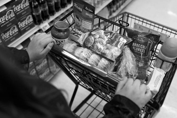 A picture of groceries in a shopping cart.