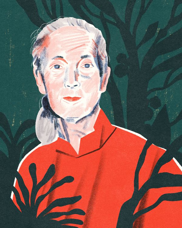 A portrait of Jane Goodall. She looks directly ahead; wearing a red shirt. 