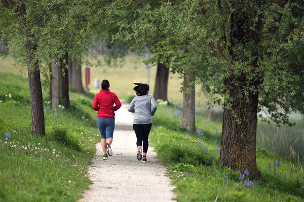 Two women jog away from the camera along a tree-lined path.