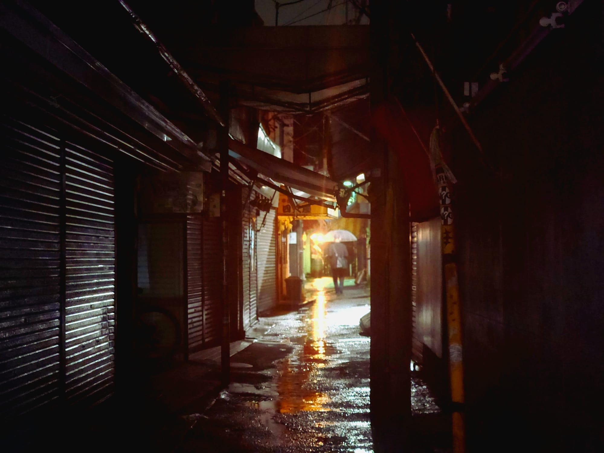 Naughty Under the Cherry Blossoms