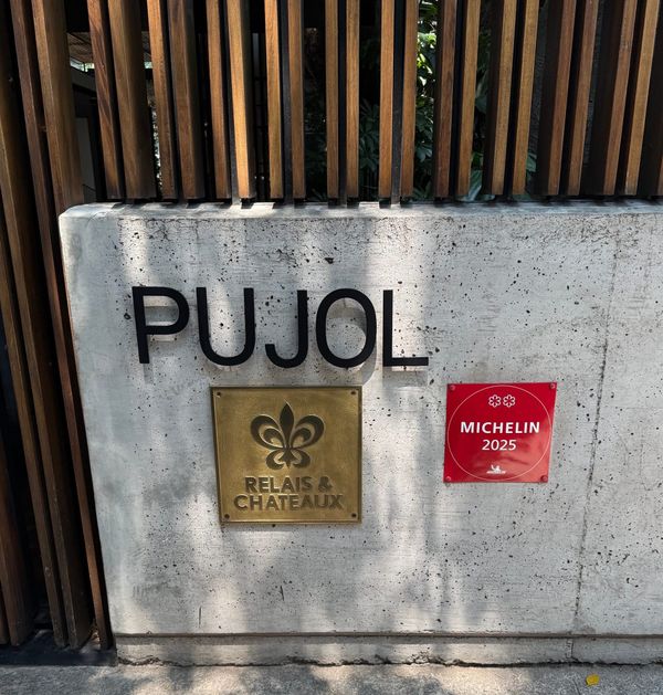 MEXICO CITY RESTAURANT REVIEW: Pujol