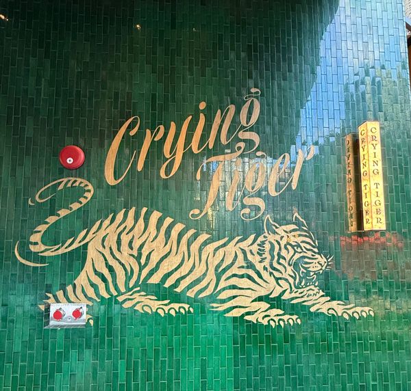 CHICAGO RESTAURANT REVIEW: Crying Tiger