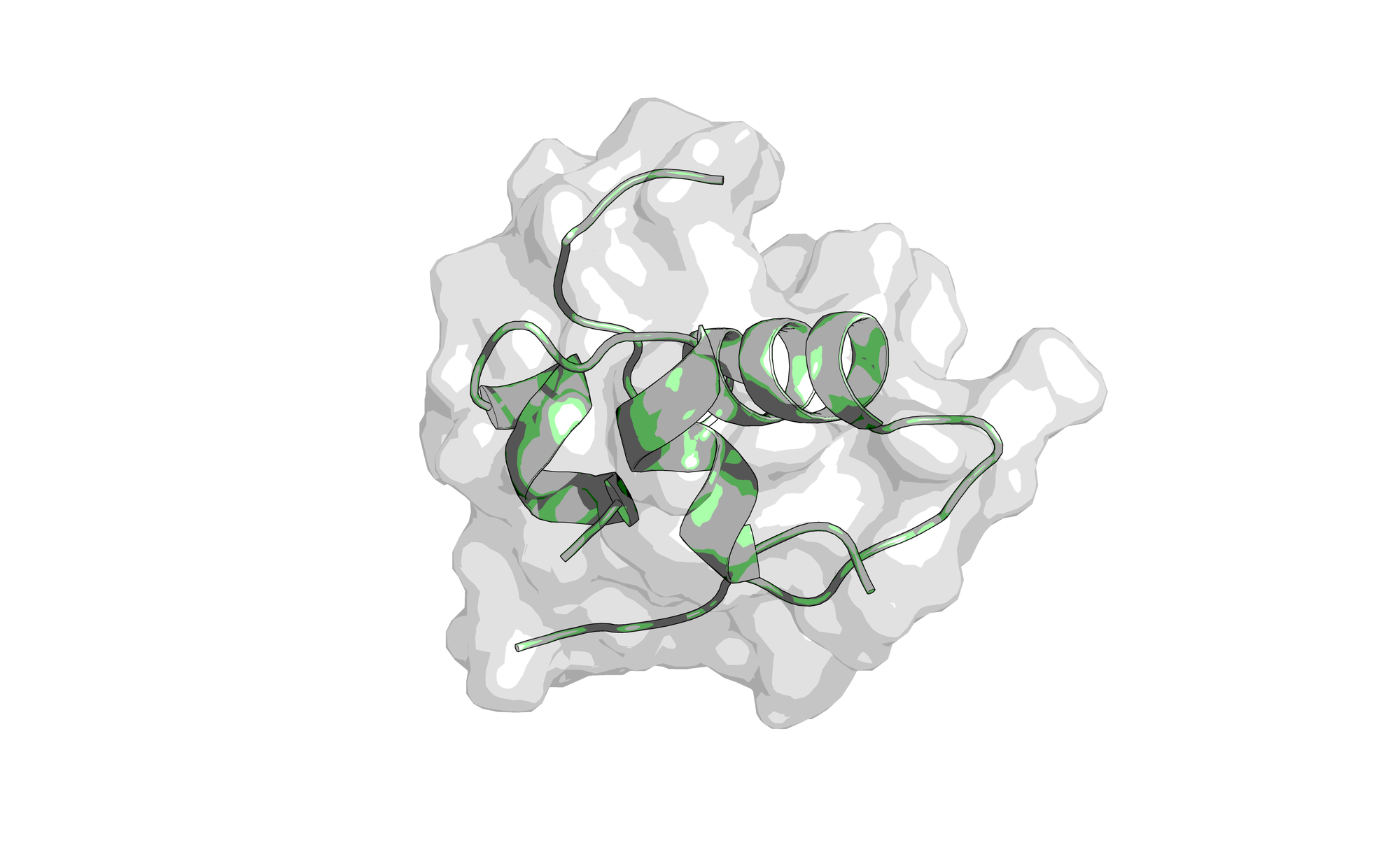 Chemie der Biomoleküle III: Aminosäuren