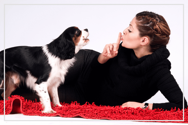 How Many Decibels Is Too Loud For Ear