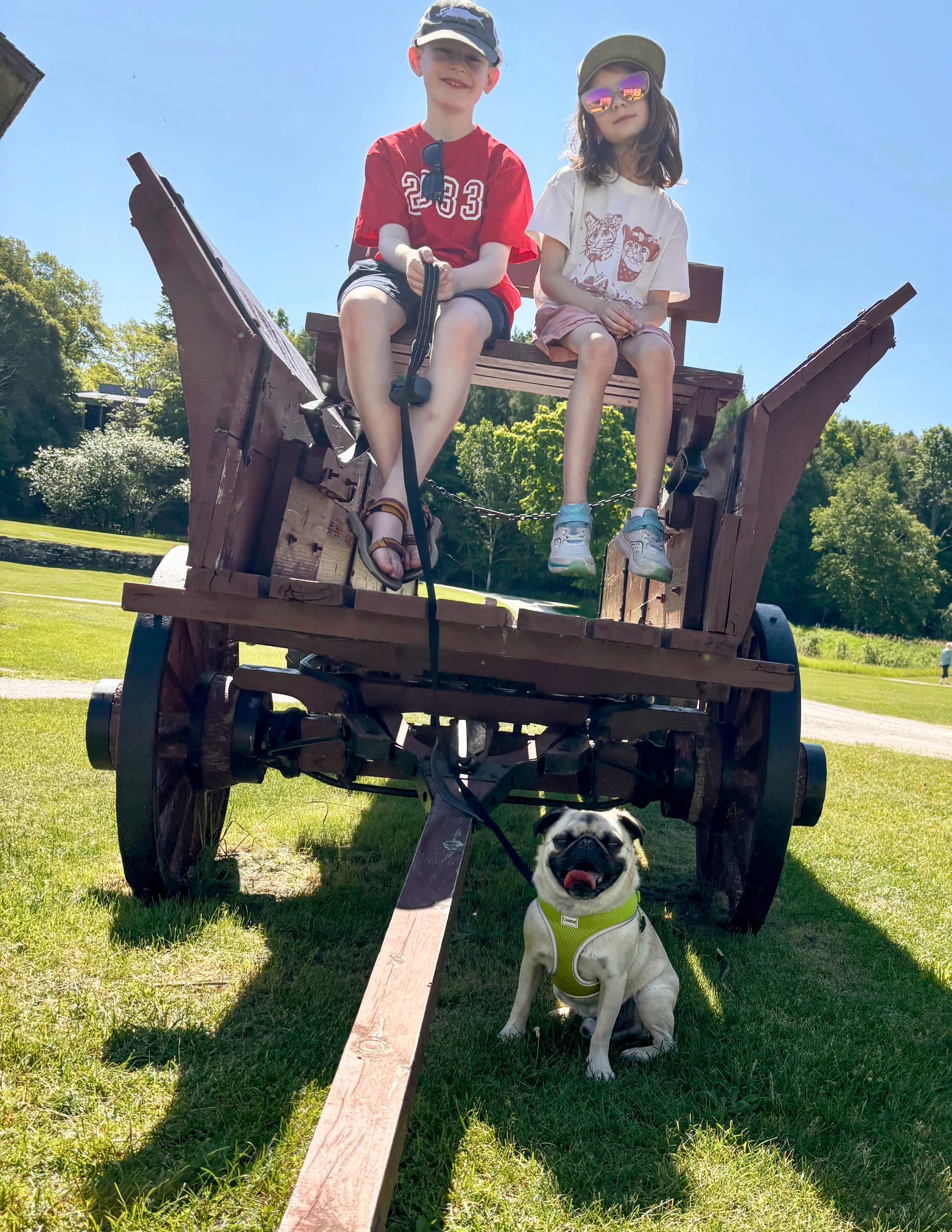 Buddy wagon.jpg