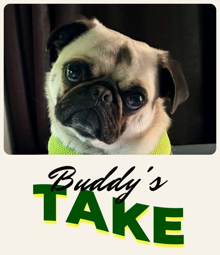 Buddy's Take on McClain State Park