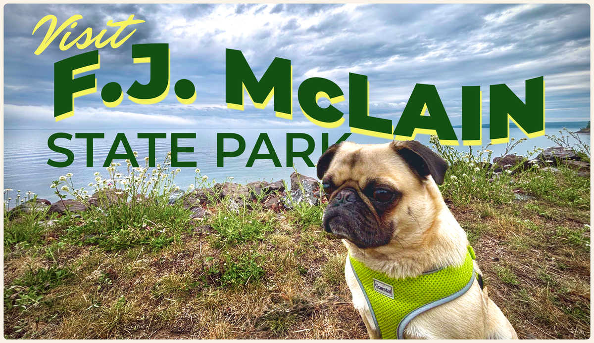 Visit F.J. McLain State Park