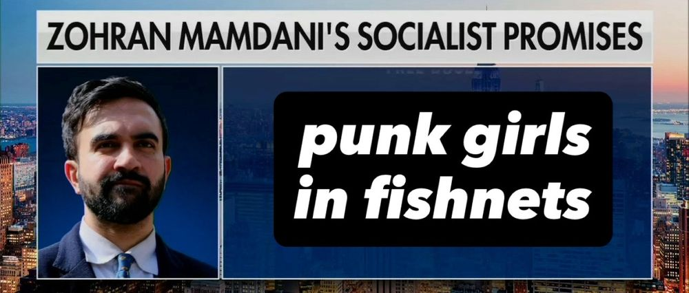 zohran mamdani’s socialist promises: punk girls in fishnets