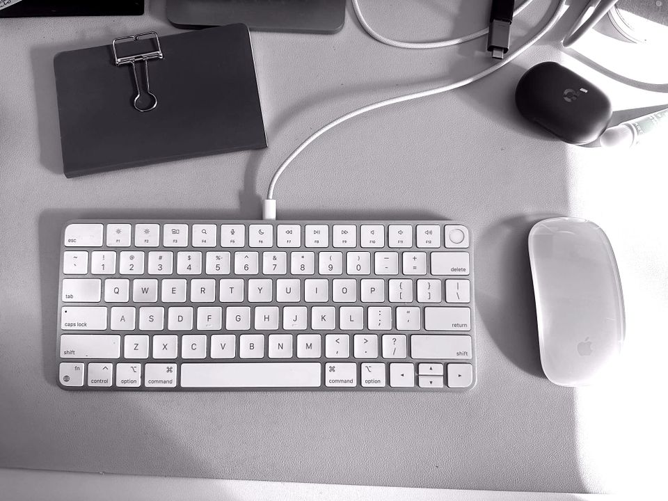 "a set of solidarities"