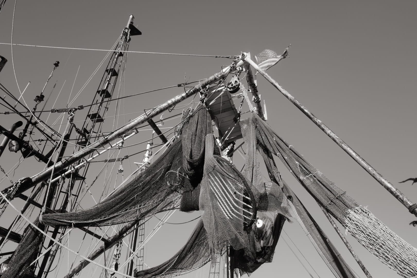 Black and White Key West