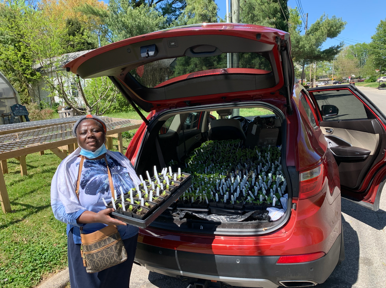 Lessons in Faith: Trusting God’s Provision