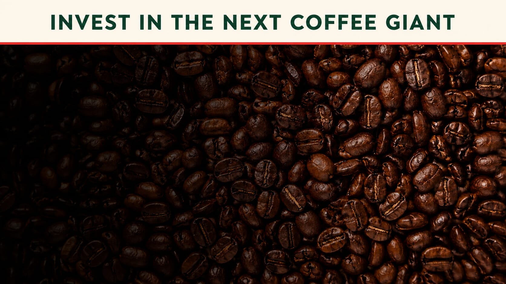 Roasted coffee beans