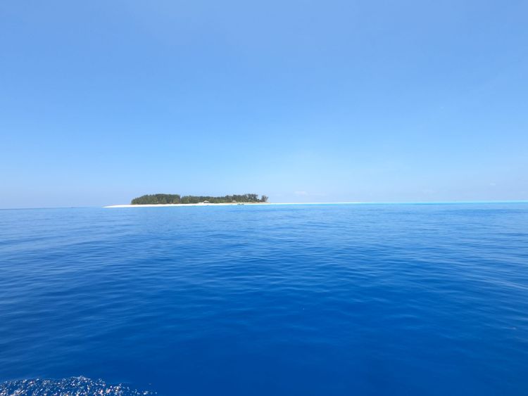 Zanzibar Tips for That Hakuna Matata Life