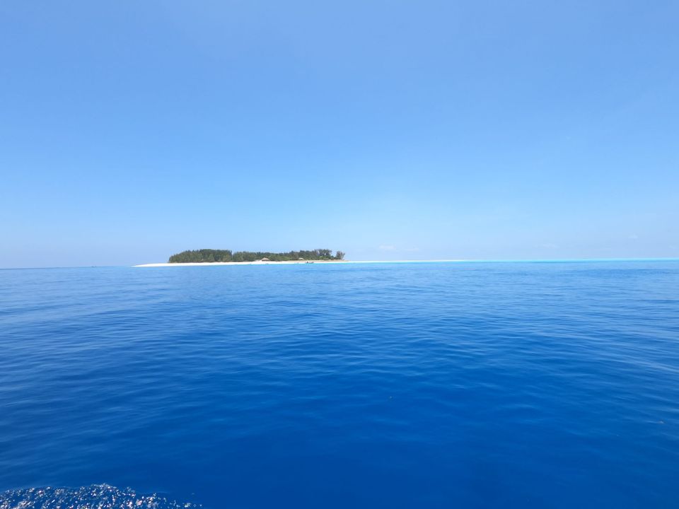 Zanzibar: consigli per vivere la vita “Hakuna Matata”