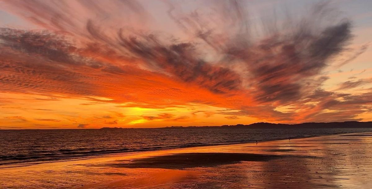 About Me & This Site