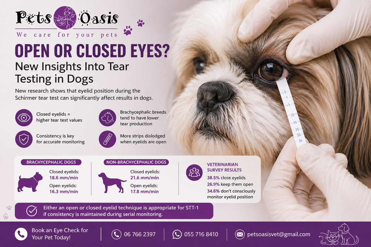 Open or Closed Eyes? New Insights Into Tear Testing in Dogs