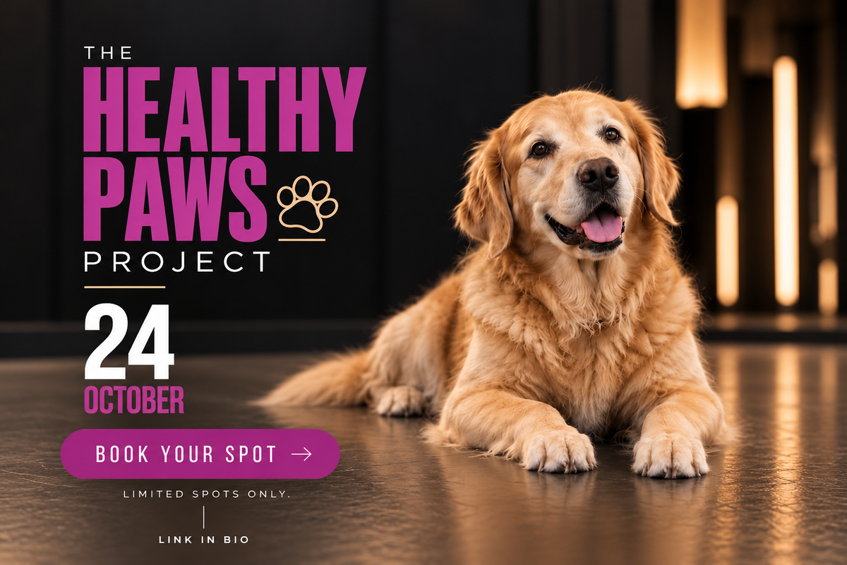 Pet Parents Travel Across the UAE for Pets Oasis’ Healthy Paws Project